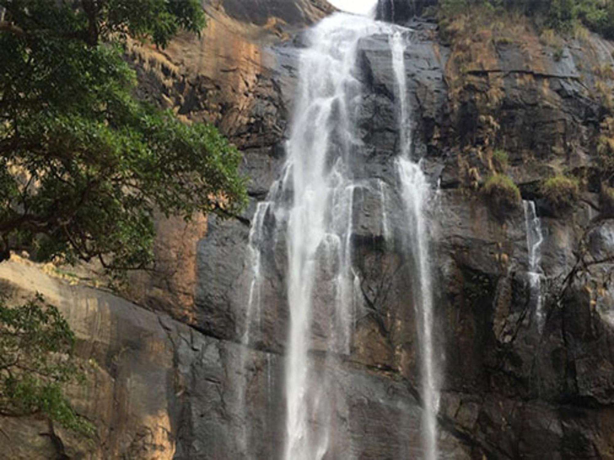 Coastal Grand Mahendravanam - Kolli Hills Exterior photo